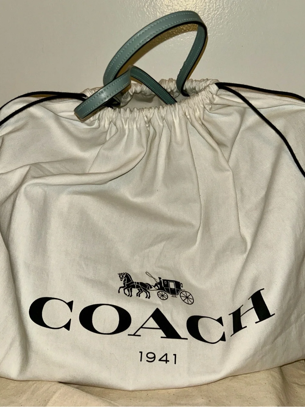 Coach print reversible